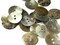 24 15mm Mother of Pearl Shell Buttons Natural Round Two Hole Buttons